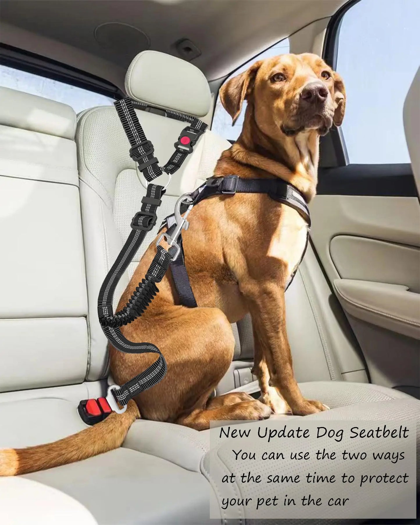 Heavy Duty Dog Car Seat Belt