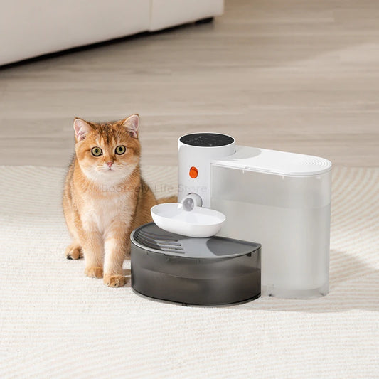 Cat Water Fountain Dispenser