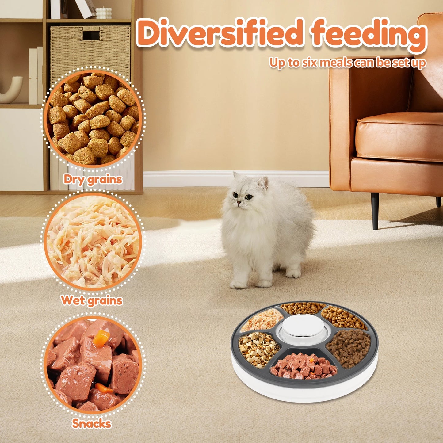 6 Meals Pet Food Dispenser