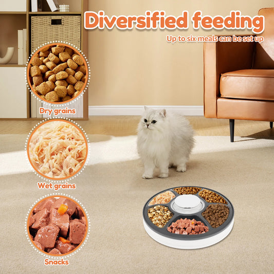 6 Meals Pet Food Dispenser