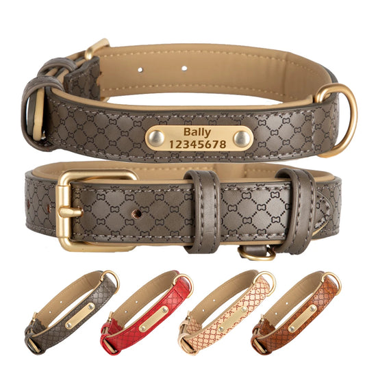 Dog Collar Engraved ID