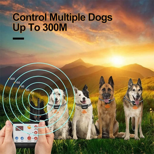 Wireless Dog Fence