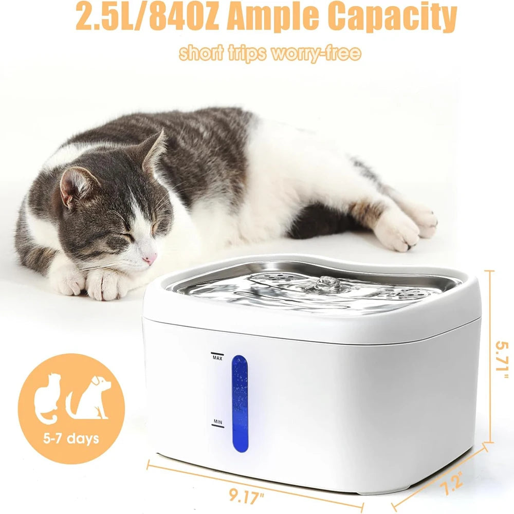 Automatic Cat Drinking Fountain