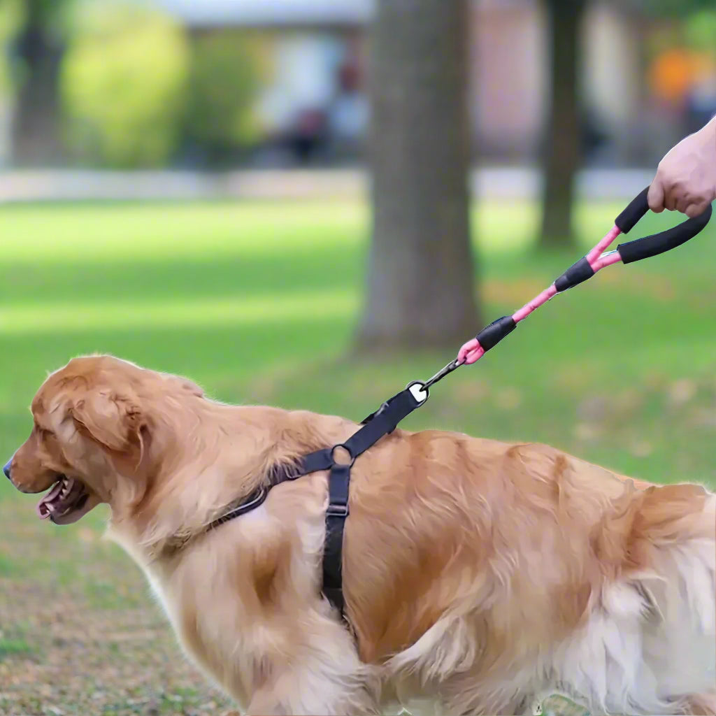 Nylon Reflective Stretch  Dog Leash